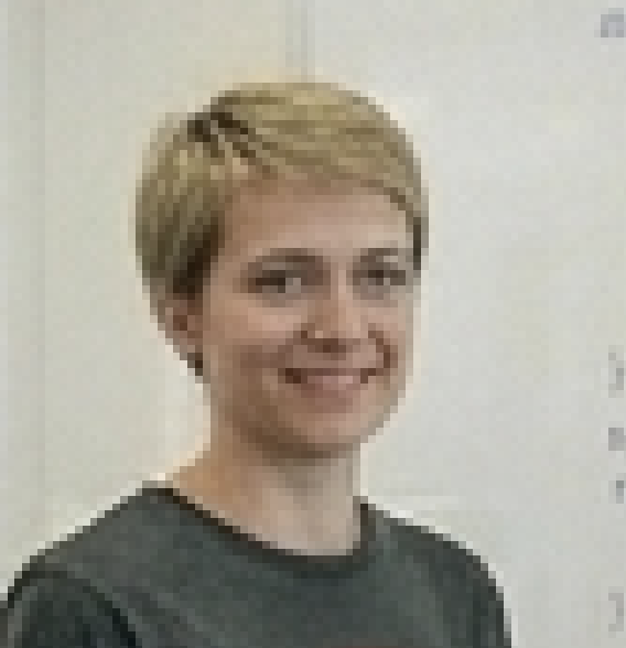 Insight Data-logo